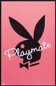 playmate.jpg
