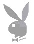 bunny.jpg