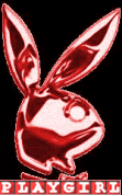 gr343.gif