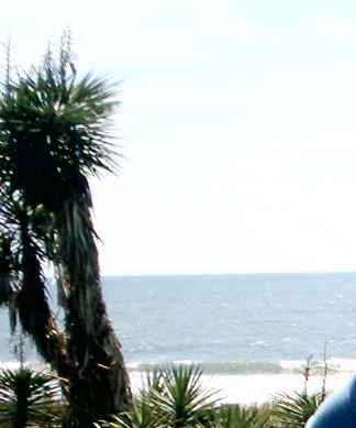 myrtlebeach0018.jpg